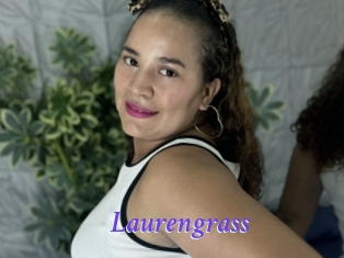 Laurengrass