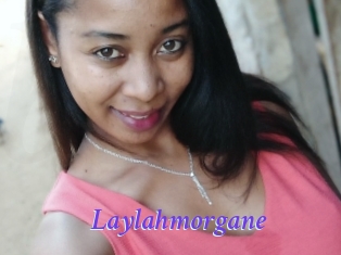 Laylahmorgane