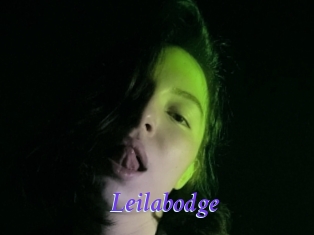 Leilabodge