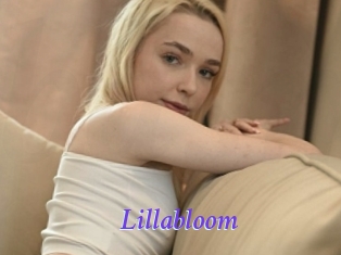 Lillabloom