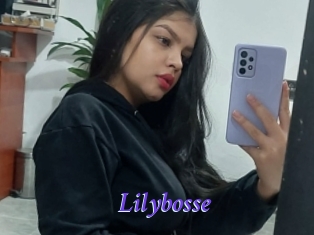 Lilybosse