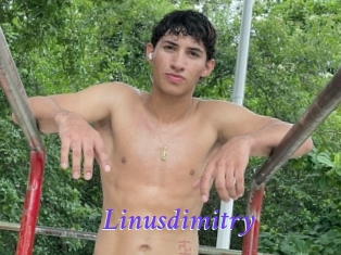 Linusdimitry