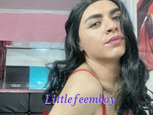 Littlefeemboy