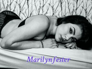 Marilynfester