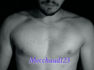 Mecchaud123