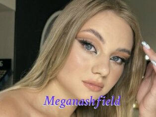 Meganashfield