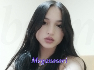 Meganosori