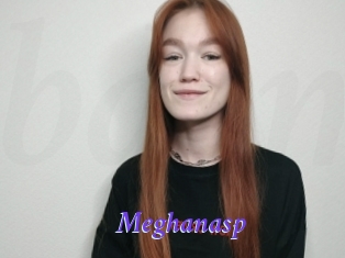 Meghanasp