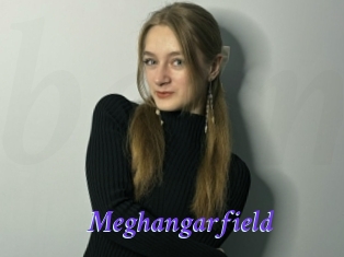 Meghangarfield