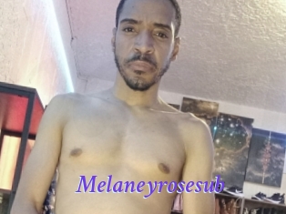 Melaneyrosesub