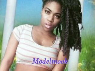 Modelmook