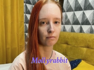 Mollyrabbit