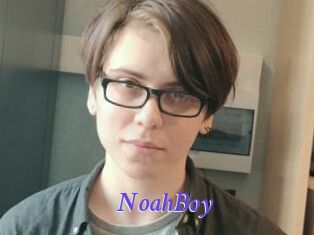 NoahBoy