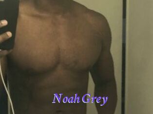 Noah_Grey