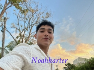 Noahkarter