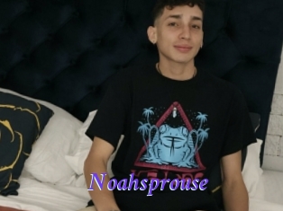 Noahsprouse