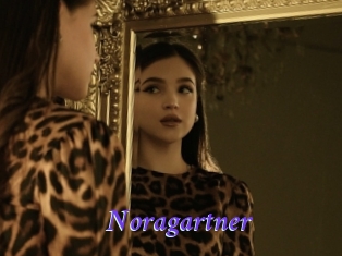 Noragartner