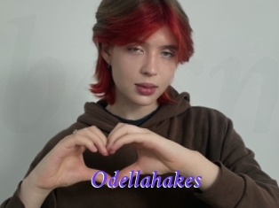 Odellahakes