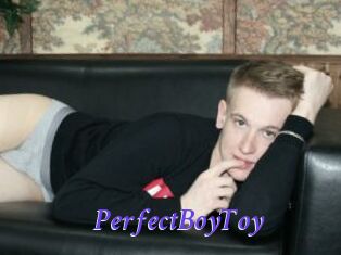 PerfectBoyToy