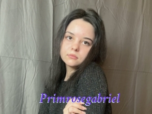 Primrosegabriel