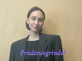 Prudencegrindel