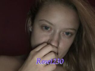 Rose1230