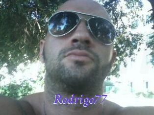 Rodrigo77