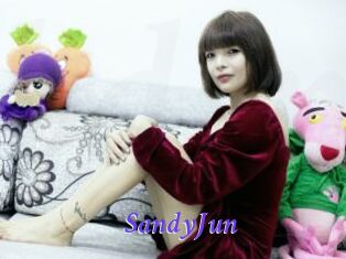 SandyJun