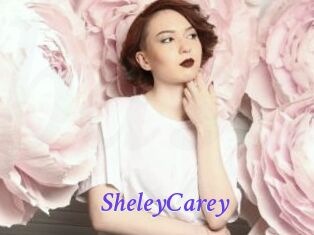 SheleyCarey