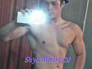 ShyLittleBoy20