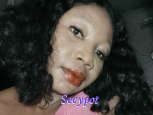 Secypot