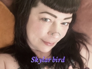 Skylar_bird