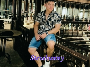 Stevebunny