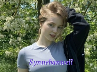 Synnebanwell