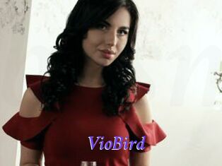 VioBird