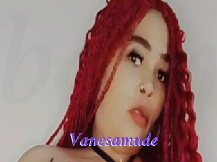 Vanesamude