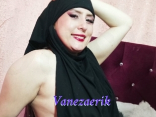 Vanezaerik