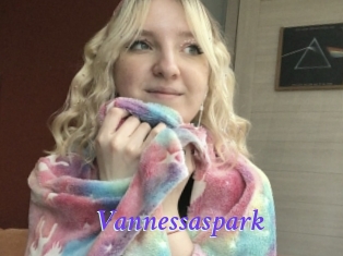 Vannessaspark