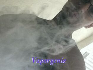 Vapor_genie