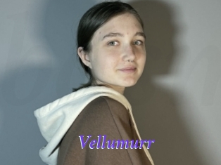 Vellumurr