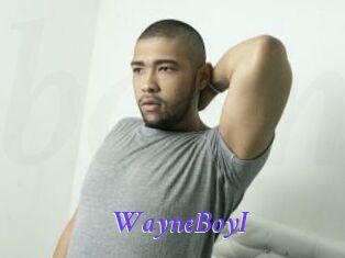 WayneBoyI