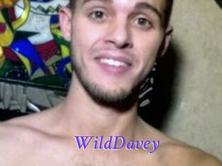 WildDavey