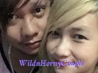 WildnHornyCouple