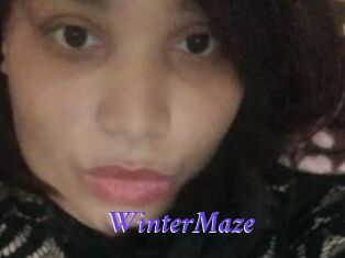 Winter_Maze