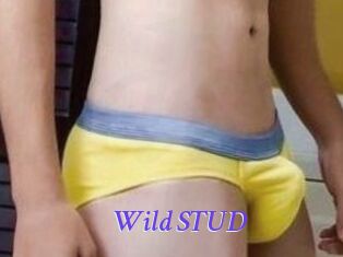 Wild_STUD