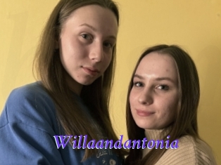 Willaandantonia