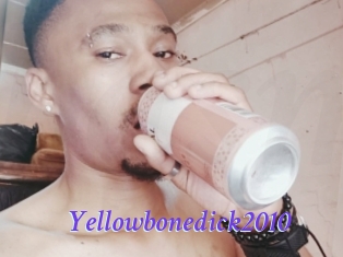 Yellowbonedick2010