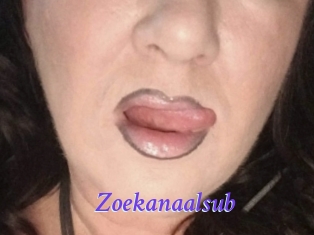 Zoekanaalsub